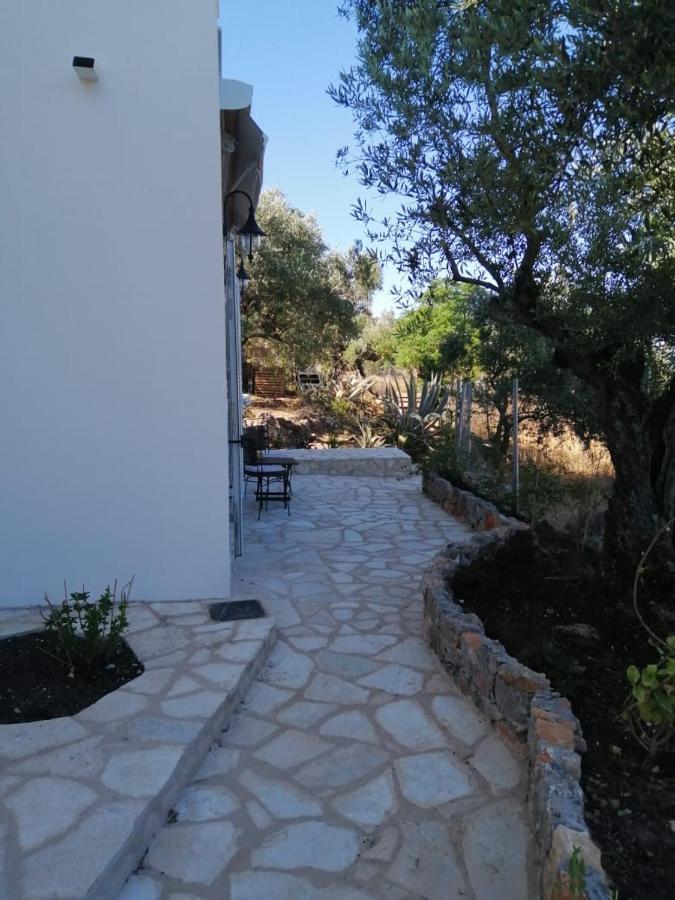 Appartement in OLIVE GROOVE HOUSE PELOPONNESOS WESTERN MANI Kalianeika Exterior foto