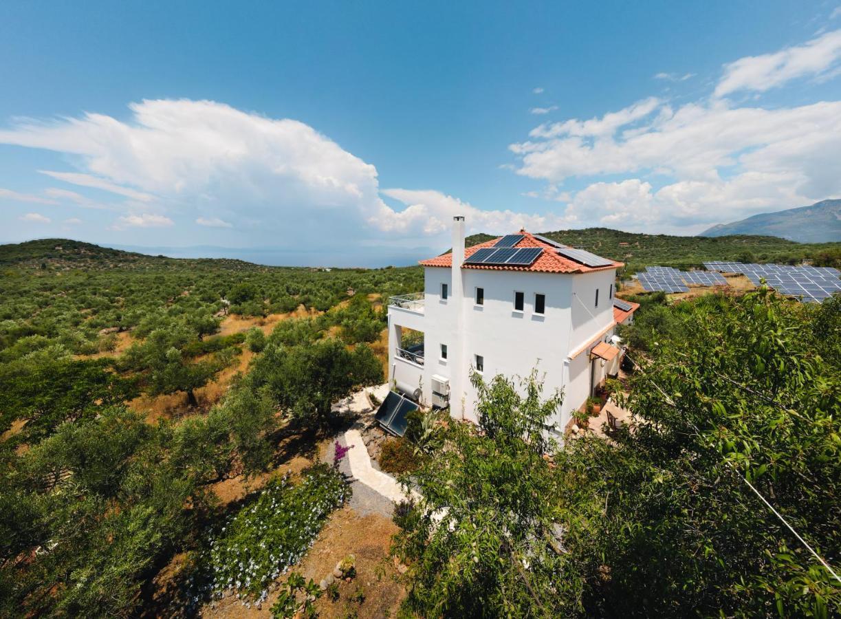 Appartement in OLIVE GROOVE HOUSE PELOPONNESOS WESTERN MANI Kalianeika Exterior foto