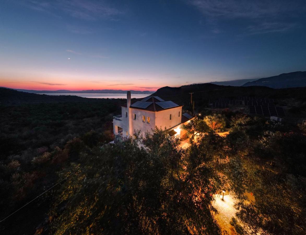 Appartement in OLIVE GROOVE HOUSE PELOPONNESOS WESTERN MANI Kalianeika Exterior foto