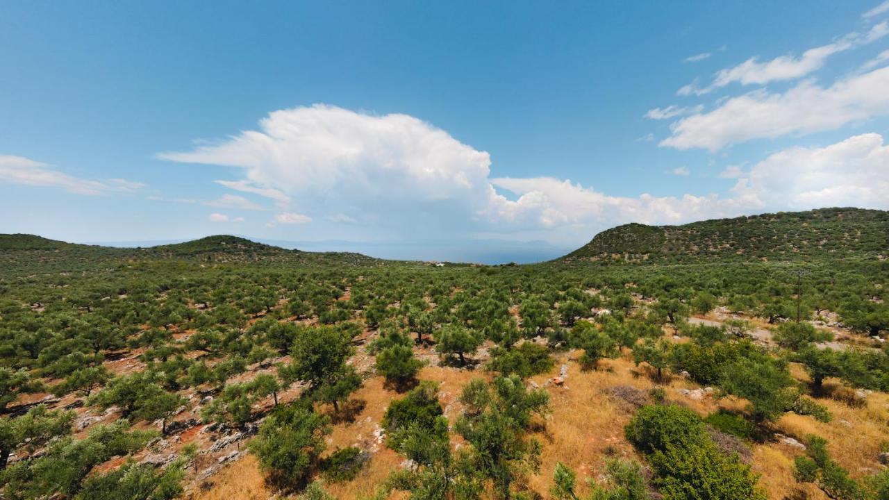 Appartement in OLIVE GROOVE HOUSE PELOPONNESOS WESTERN MANI Kalianeika Exterior foto